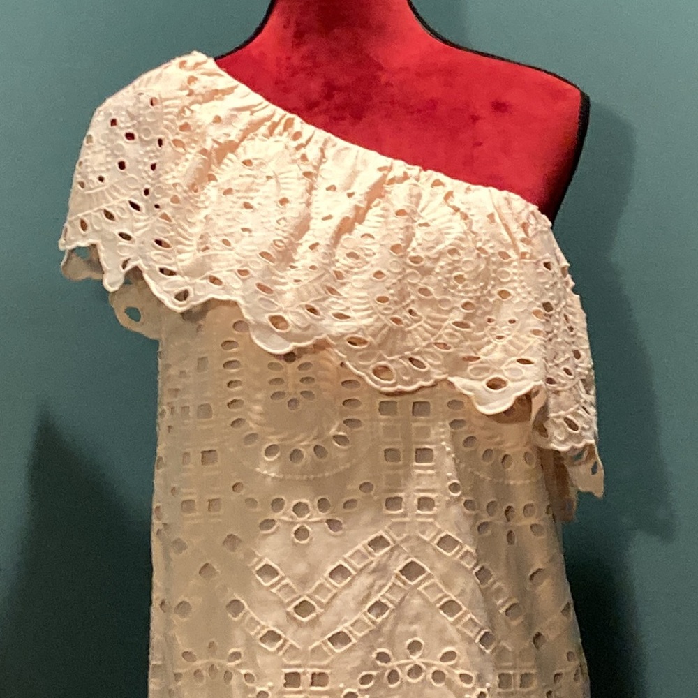 Loft NWT Pale Pink One Shoulder Cotton Eyelet Dress Size 4 - Picture 2 of 16